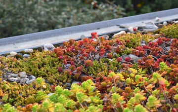 the cost of Tickford End green roof installation