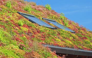 Tickford End living roof systems